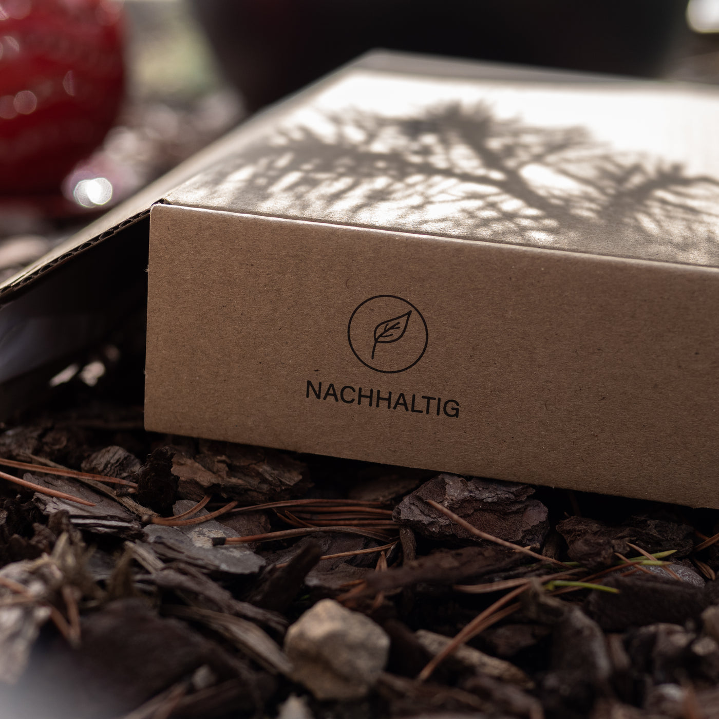 Schöne Box die im Wald auf dem Boden steht.